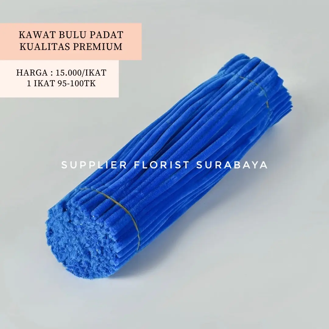 BIRU SEDANG2 (PADAT)