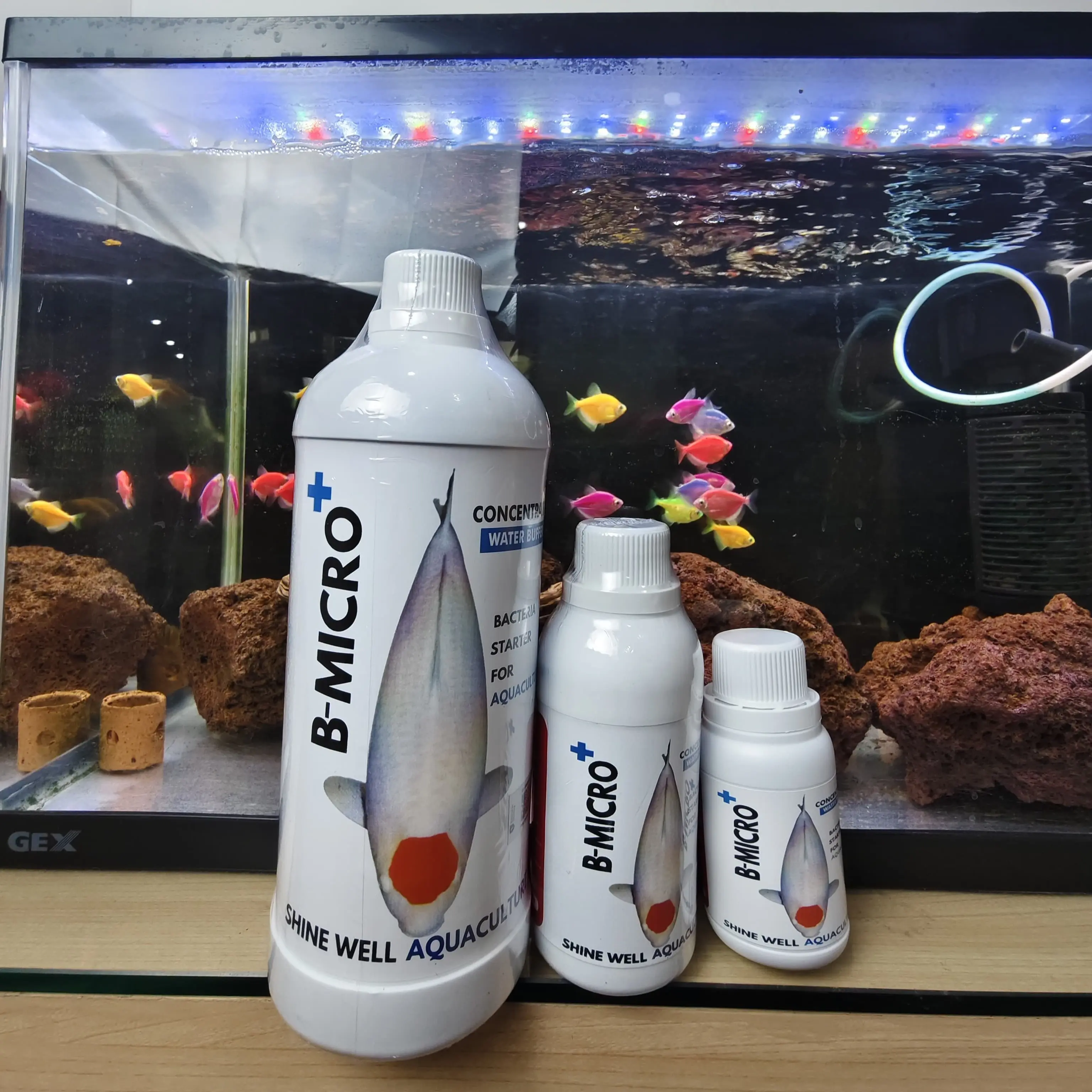 BMICRO+ Bakteri Starter Untuk Ikan Koi , Arwana dan Lainnya Penjernih Air dan Pengurai Amonia Pada Kolam Ikan Air Tawar
