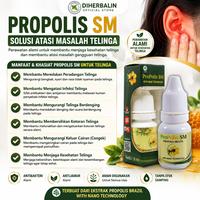 Gambar Propolis SM Obat Tetes Untuk Atasi Telinga Berair Bau Bernanah Congek  Perawatan Kuping Bersihkan Kotoran - HARGA NORMAL - 1 PSM dari Diherbalin Shop Kota Administrasi Jakarta Barat 3 Tokopedia