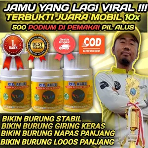 JAMU BURUNG PIL ALUS 100 BUTIR TERMURAH JUARA MOBILAN STIKER KUNING Herbal Berkualitas untuk Burung Balap Stabil & Kenceng