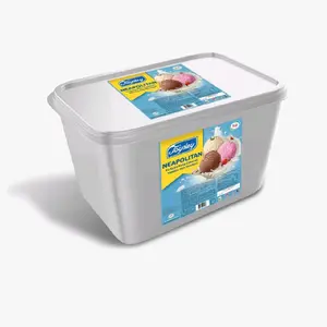Joyday Eskrim 8 Liter Neapolitan Rasa Vanilla Chocolate dan Strawberry untuk Kenikmatan Lebih Lezat