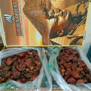 KURMA GOLDEN VALLEY ORIENT