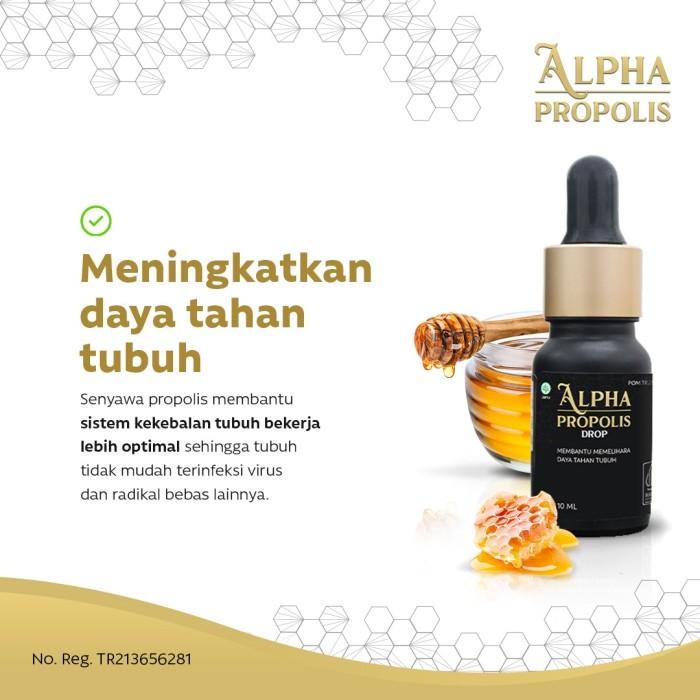 Alpha Propolis isi 10ml Original Propolis Herbal Multivitamin Flavonoid tertinggi 2