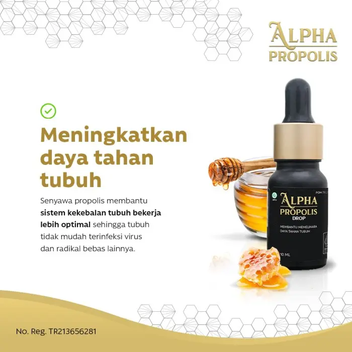 Alpha Propolis isi 10ml Original Propolis Herbal Multivitamin Flavonoid tertinggi 1
