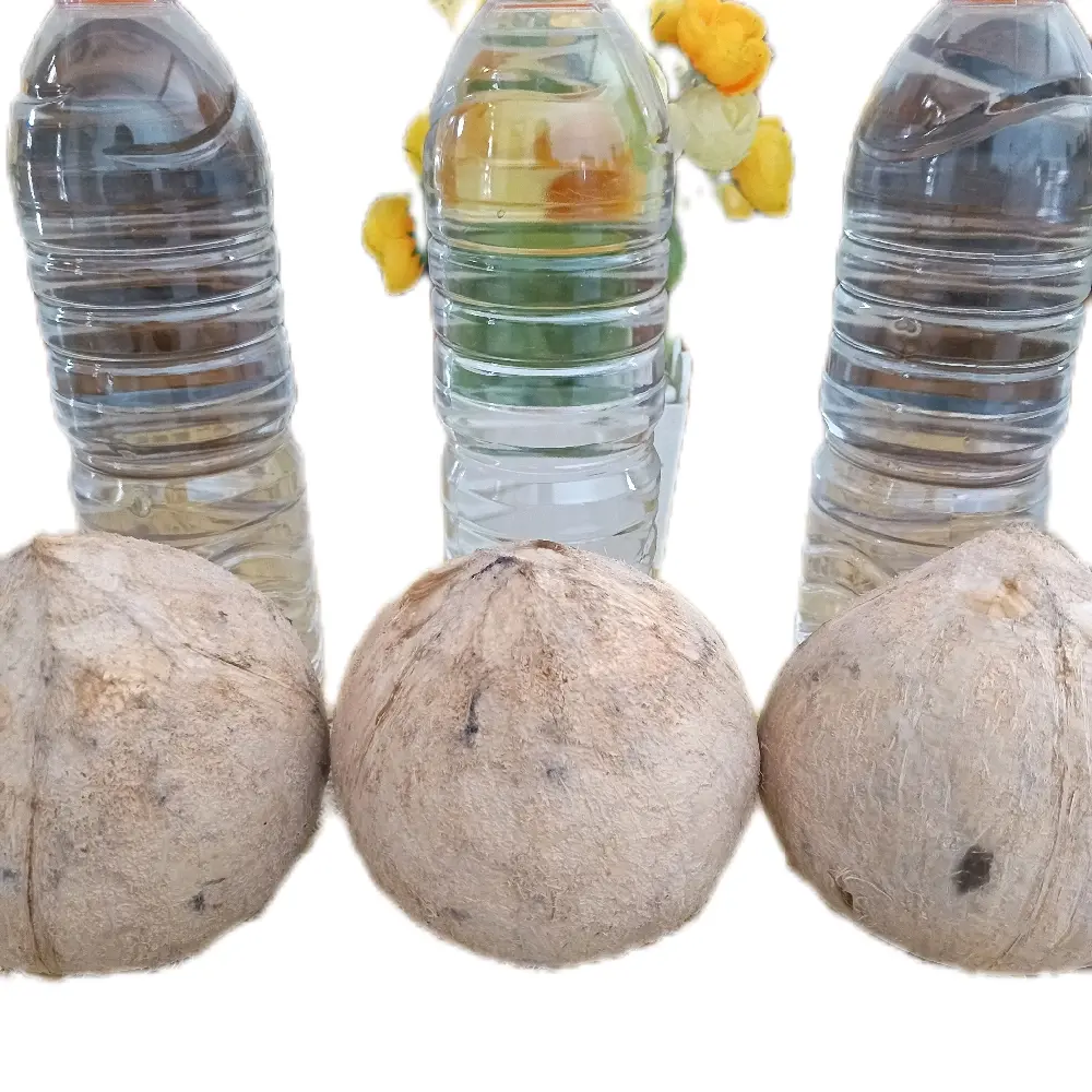 Air Kelapa Hijau isi 2 botol masing-masing 600ml