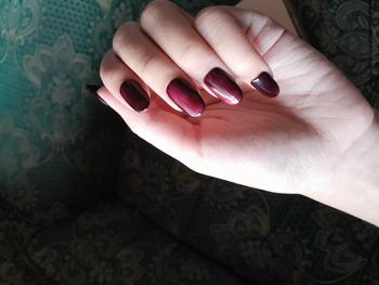 Product Review of Kuku palsu/ nail art/ press on nails cat eye warna red jelly FREE toolkit from L**👑 0