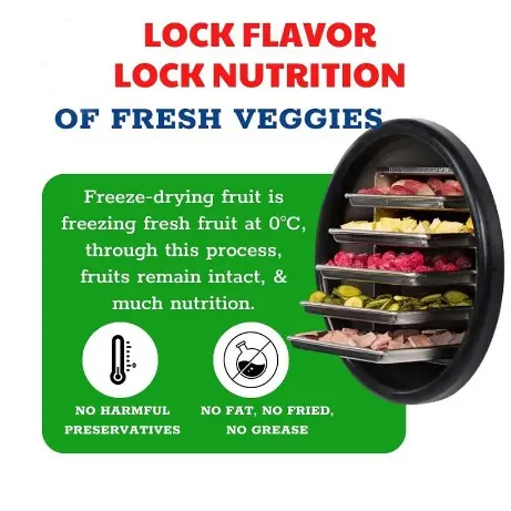 [HALAL] Campuran campuran buah makanan ringan kering Mix Vegetables Okra kualitas tinggiKeropok Sayuran Kering Kering snacks(Fast delivery of local inventory) 4