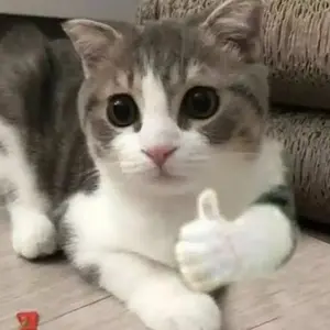 HANSAPLAST Salep Luka 20g P3K - Merawat luka & kulit yang rusak, mengurangi risiko bekas luka