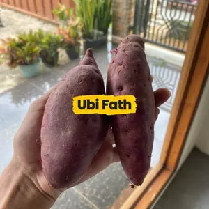 Ubi Ungu Asli Mentah | 500 Gram