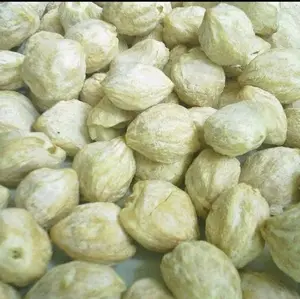 PROMO//KEMIRI UTUH BERKUALITAS GRADE A 500G TERMURAH UNTUK KEBUTUHAN BUMBU MASAKAN ANDA