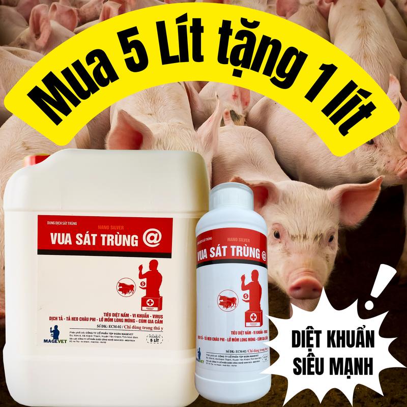  COMBO 6 LÍT VUA SÁT TRÙNG SÁT KHUẨN CHUỒNG TRẠI CHĂN NUÔI HEO GÀ VỊT 