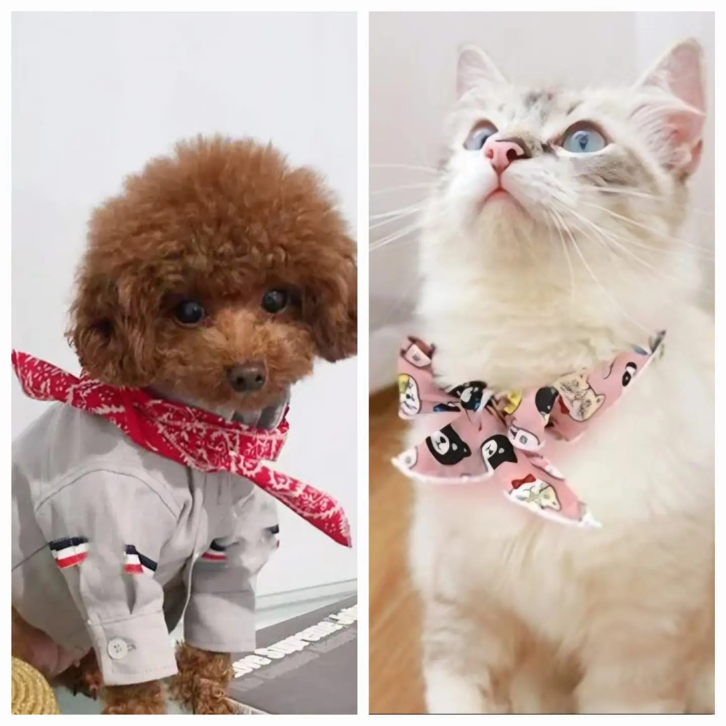 Pet Ice Cooling Fashionable Bandana for Dogs and Cats