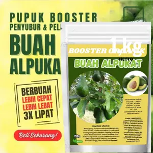 Pupuk Booster Alpukat Pelebat Organik, tingkatkan pertumbuhan bibit alpukat mentega dan melebatkan buah alpukat aligator, alpukat jumbo