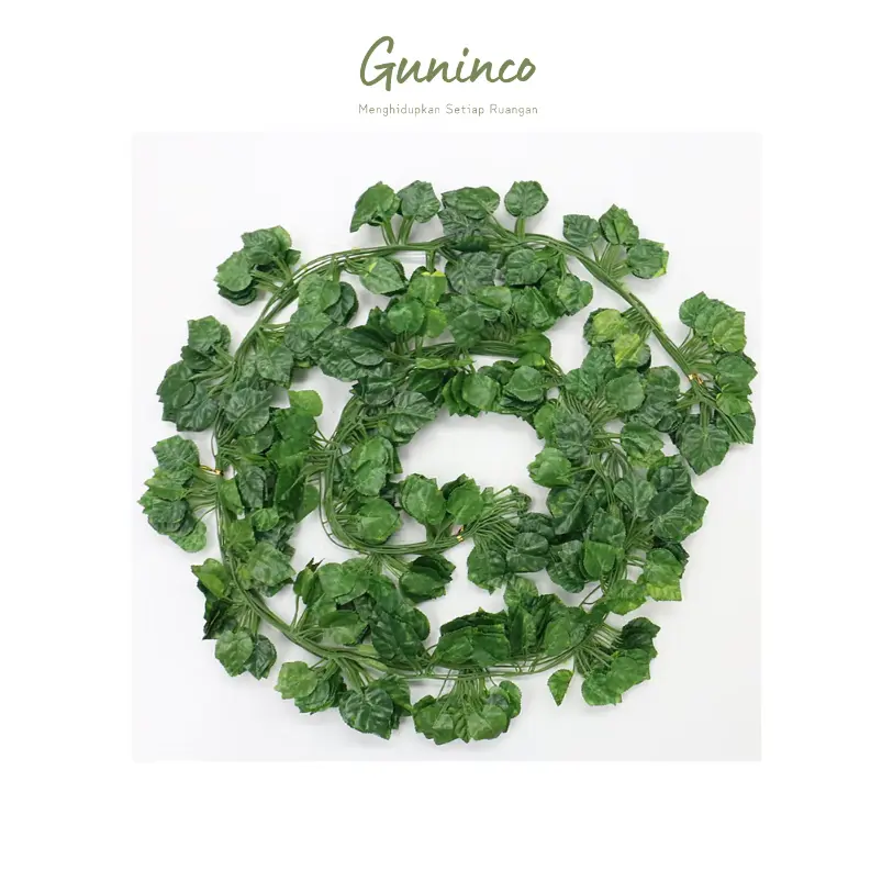 PAKET DAUN RAMBAT KECIL 2 METER 12 PCS