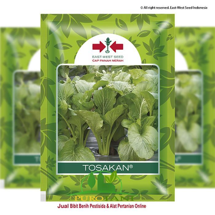 Gambar Benih Biji Sawi Caisim Tosakan Panah Merah - _, Standar dari PUROTANI.ID Kab. Purworejo 3 Tokopedia
