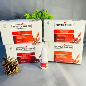 [ BPOM ] 4-BOX PHYTO FRESH 4Box Isi 40Pcs Minyak Angin Aromatheraphy Phytofresh Roll On 4mL