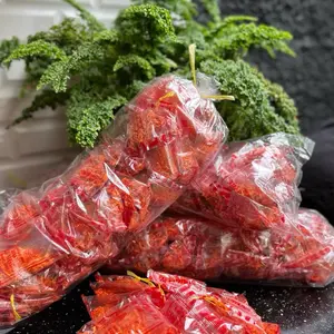 Mie pedas cap ayam jago 1 ombyok (isi 10)