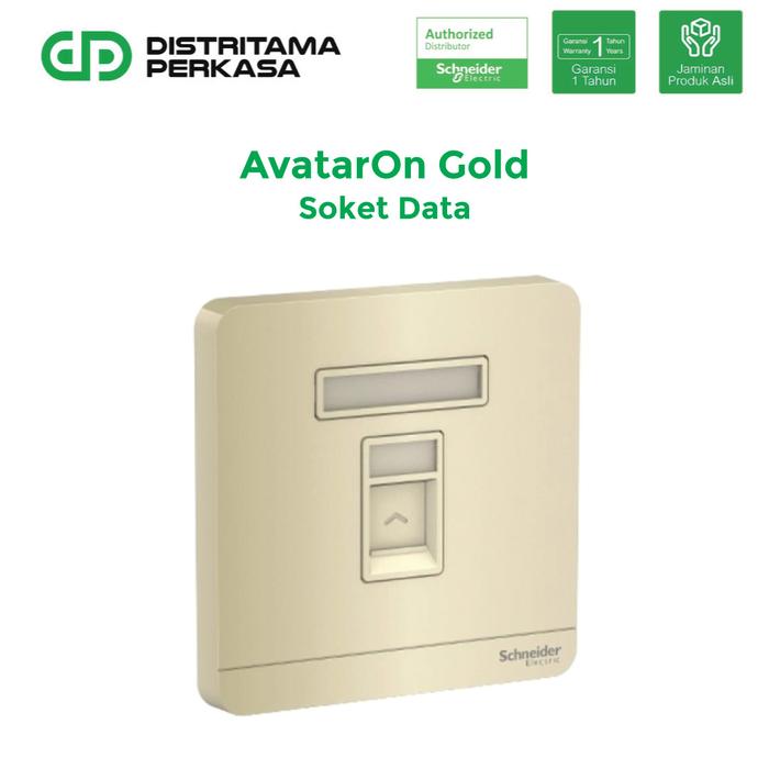 Gambar Schneider AvatarOn Gold Data Socket RJ45 CAT5E - E8331RJS5_WG dari DP Electric Kota Tangerang Tokopedia