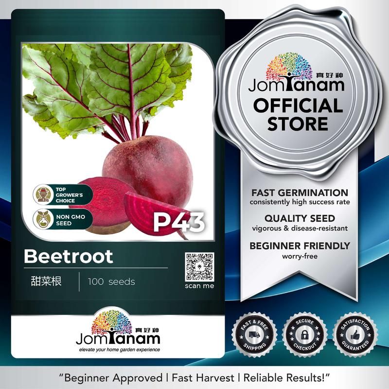 Beetroot Seed P43 JOM TANAM F1 Hybrid Benih Ubi Bit Merah Benih ...