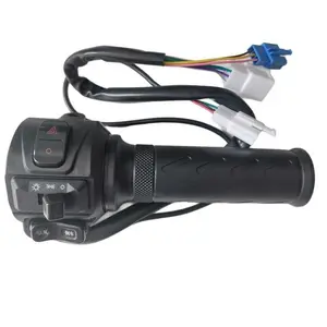 Throttle Gas 36V-120V Motor Listrik & Sepeda Listrik | HOT