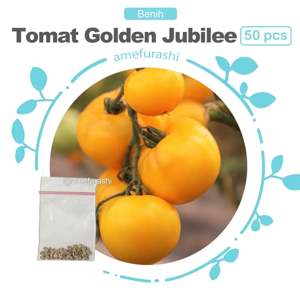 Tomat Golden Jubilee 50 Biji 