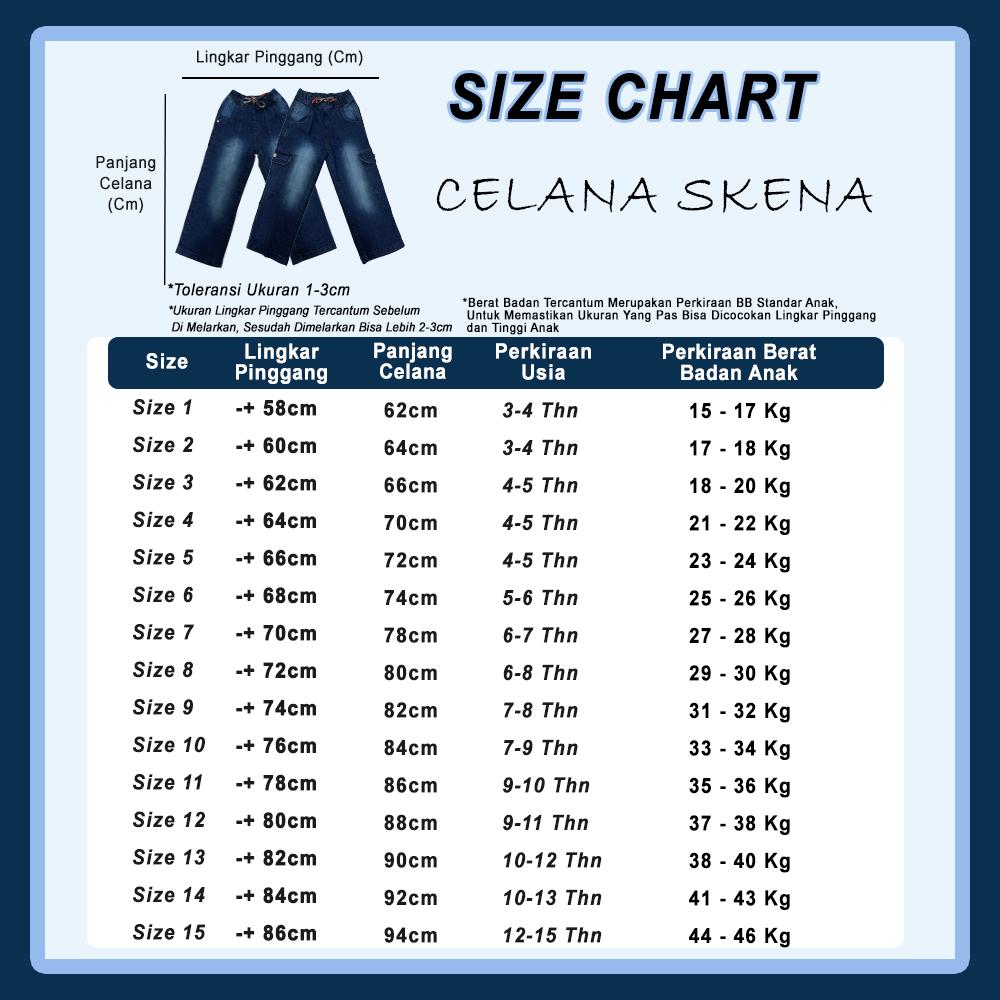 Celana Skena Jeans Carpenter Anak Usia 2-12 Tahun  Bawahan Baggy Motif Bordir Premium