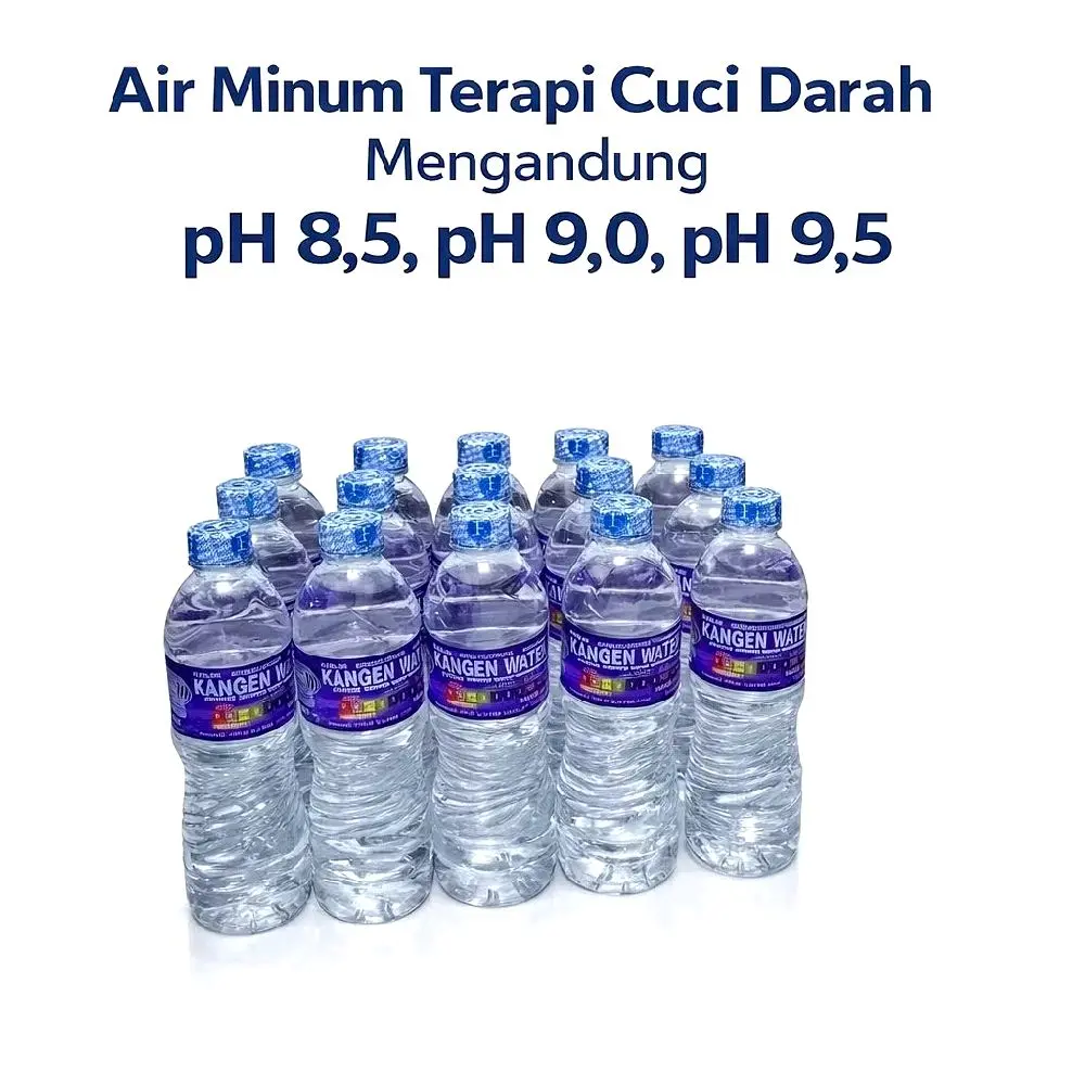 air minum alkali ph 8,5 9,0 9,5  detoks alami 600ml
