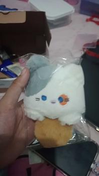Product Review of Plushie Keyring Doll Enhypen from v**a 0