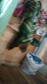 Product Review of ARDILES SANDAL SENDAL JAPIT JEPIT SPON EVA WANITA PEREMPUAN ANAK KOLALA from p**0 0