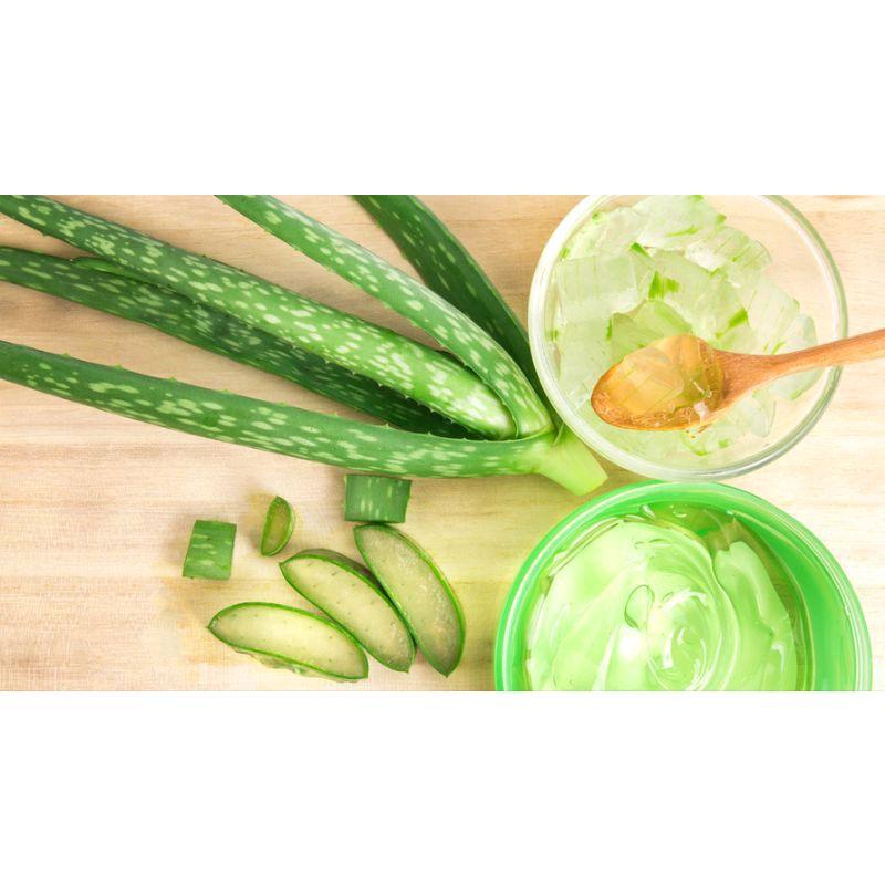 Images Aloe Vera Gel Pelembab Wajah / Masker Wajah Glowing/Pelembab Kulit / Gel Menghaluskan Kulit / Gel Lidah Buaya 4