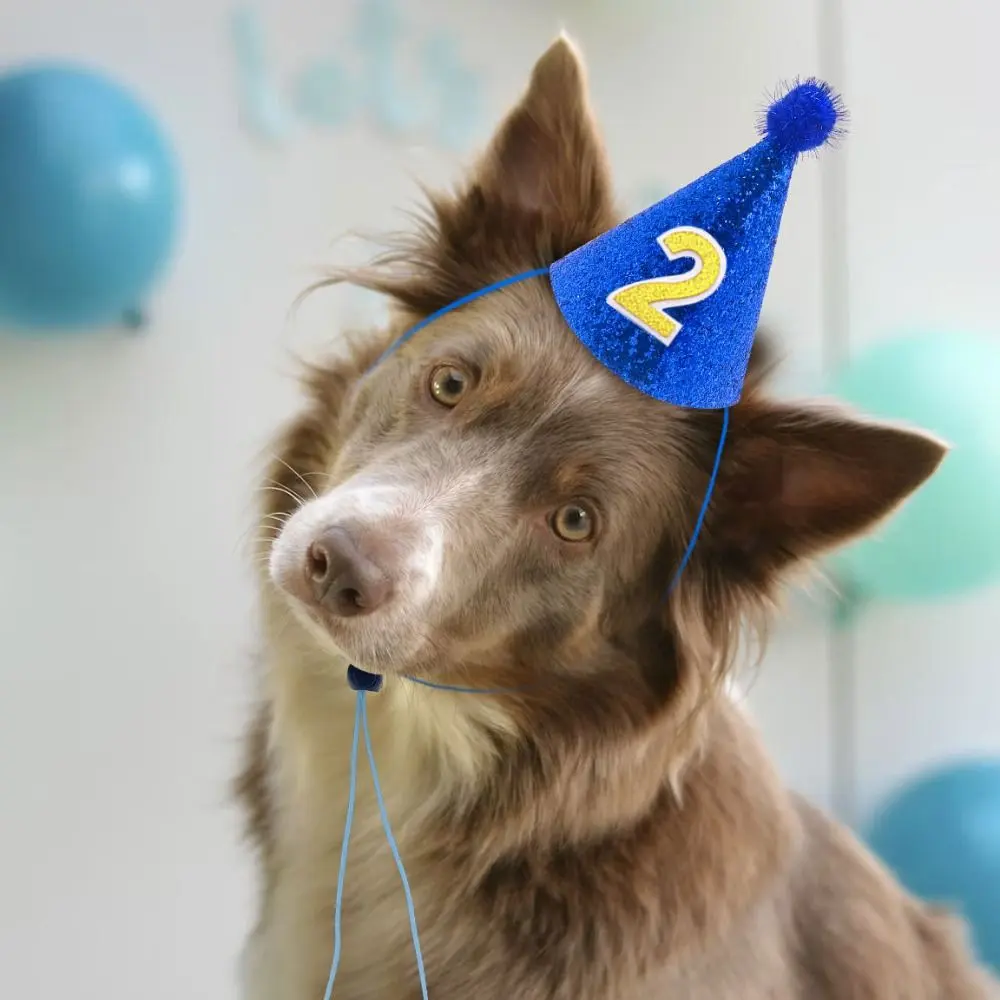 Pets Accessories Decorative Pet Birthday Hat Adjustable with Ball Dog Sparkling Hat Foldable Cat Headgear for Party