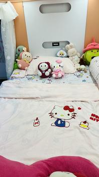 Product Review of COTTON ĐŨI HÀN THÊU - bộ 4 món vỏ chăn ga gối Suhali.shop from H** B**h P**g 3