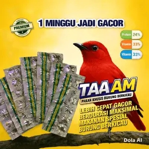 Verminus Suplemen untuk Suara Burung Tambah Kicau AM HCL ORI Produk Indonesia untuk Kualitas Suara Terbaik