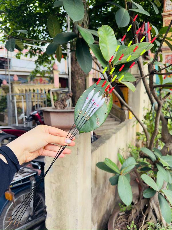 Phao câu đài Cao Cấp hố đấu Coye Thiên Xuyên , chuyên săn hàng , chất liệu Nano , không tự cân bằng , ngọn dễ nhìn