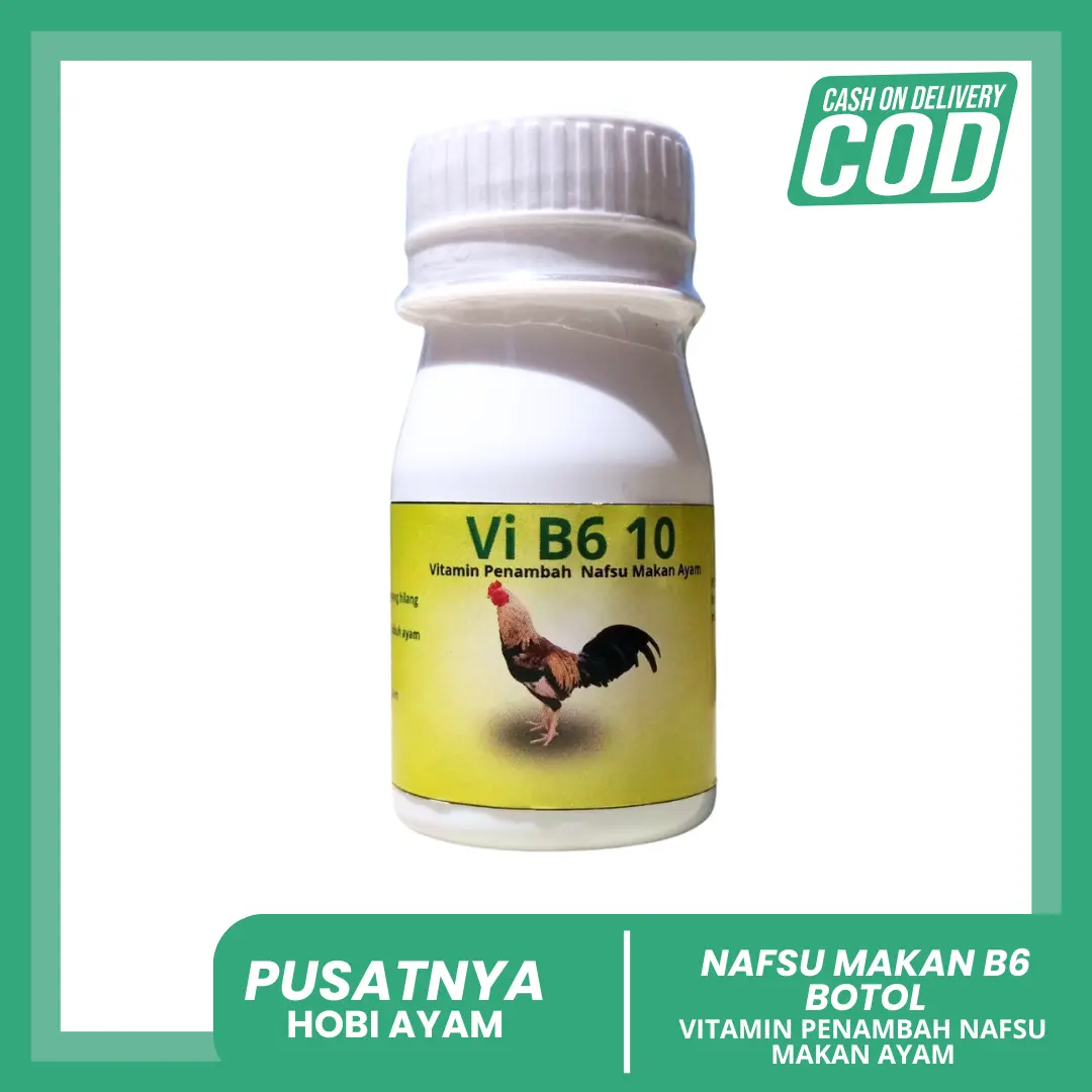 B6 Botol Obat Nafsu Makan Ayam Bangkok B6 isi 50 Butir Nafsu Makan Ayam Botol Vitamin Nafsu Makan Ayam