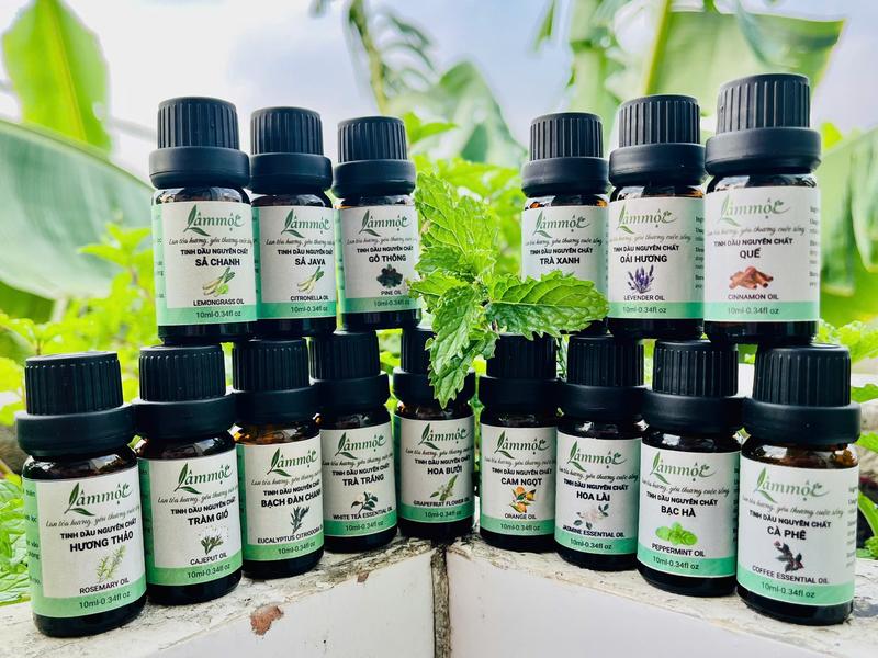Tinh Dầu Gỗ Thông Thiên Nhiên 10ml – Tinh Dầu Xông Phòng, Giải Tỏa Căng Thẳng, Tinh Khiết – LÂM MỘC 6