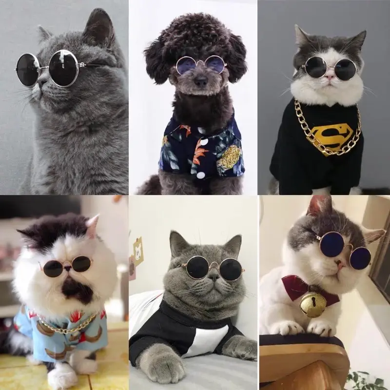 KACAMATA KUCING ANJING - Kacamata Gaya Keren Aksesoris Hewan Foto Fashion Kucing Anjing Pet Sunglasses Hewan Peliharaan 1