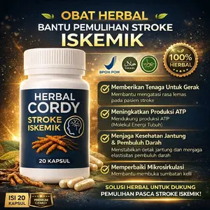 Herbal Cordy Stroke Iskemik 20 Kapsul - Obat Herbal BPOM Halal Meningkatkan ATP & Kesehatan Jantung