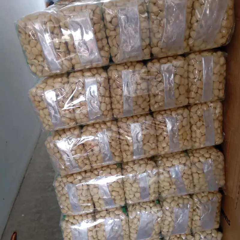 (1kg) KACANG KUPAS TUBAN ASLI KACANG BERUKURAN kecil BERKAH Food Mete 4