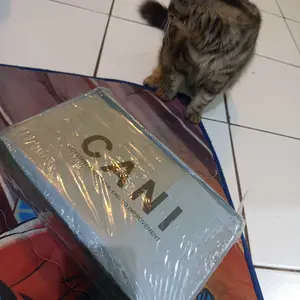 【 PROMO LEBARAN 】Cani "Free Box" Size (36 -42) Soomin Sepatu Sneakers Wanita Sepatu Lebaran Hari Raya Idul Fitri Full Black School Shoes Fashion Korea Casual Shoes Trendy K9249