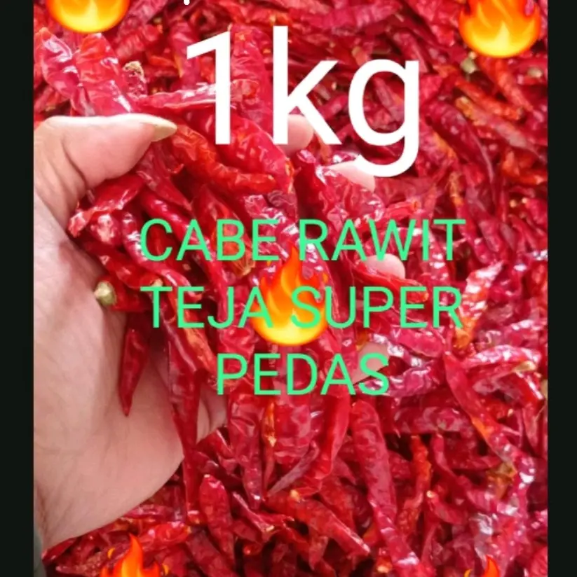 MURAH ( 1KG ) CABE RAWIT TEJA KERING INFOR TANPA TANGAKAI KUALITAS SUPER PEDAS