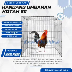 Kandang Ayam Umbaraan Kotak 80x80x80 TERMURAH HARGA PABRIK , BISA DILIPAT DAN ANTI KARAT