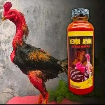 KEMIN BADAN EKTRA MERAH BN mempertebal kulit ayam aduan tahan terhadap pukul serangan jalu dan kulit jadi sehat 250ml 3