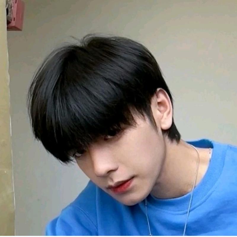 Product Introduction of WIG PRIA RAMBUT PENDEK TEBAL WARNA HITAM MODEL COWOK KOREA GRATIS WIGCAP 11