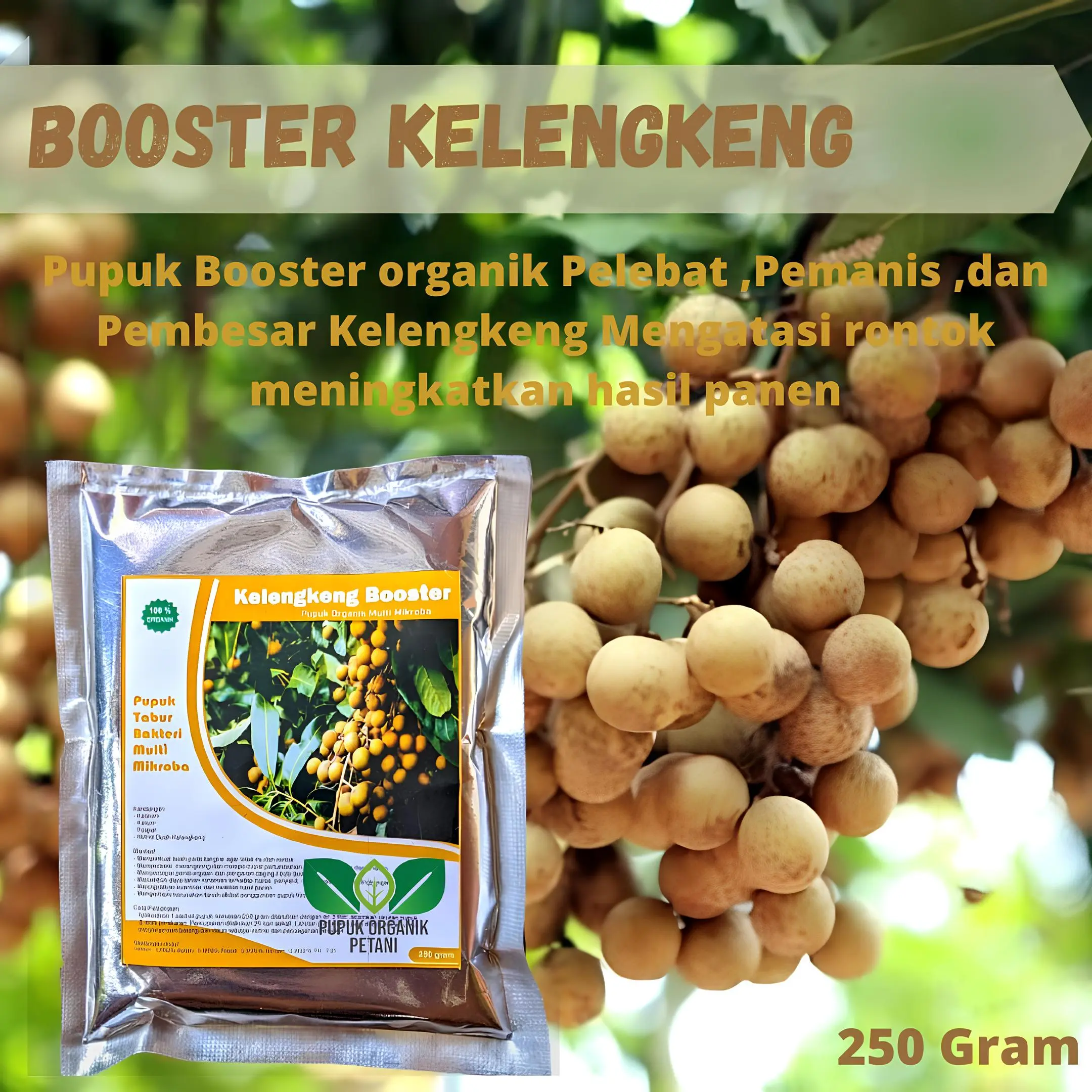 Pupuk Kelengkeng Booster Organik agar cepat berbuah besar ampuh Terbaik,Nutrisi Pelebat Buah lengkeng Penyubur dan Pemanis semua jenis klengkeng merah super cangkok matalada banyak bunga anti rontok tidak mudah busuk layu murah gratis ongkir Pohon Tanaman