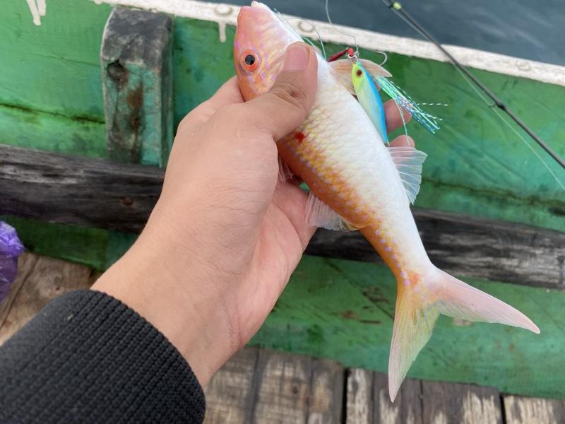 Micro jig Bolo-bolo jig 10gr (glow in the dark)