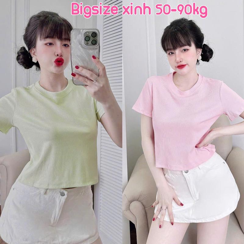 Áo thun bigsize áo babytee form ôm croptop 50-100kg chất thun cotton 100 hàng cao cấp áo cổ tròn basic dễ phối đồ