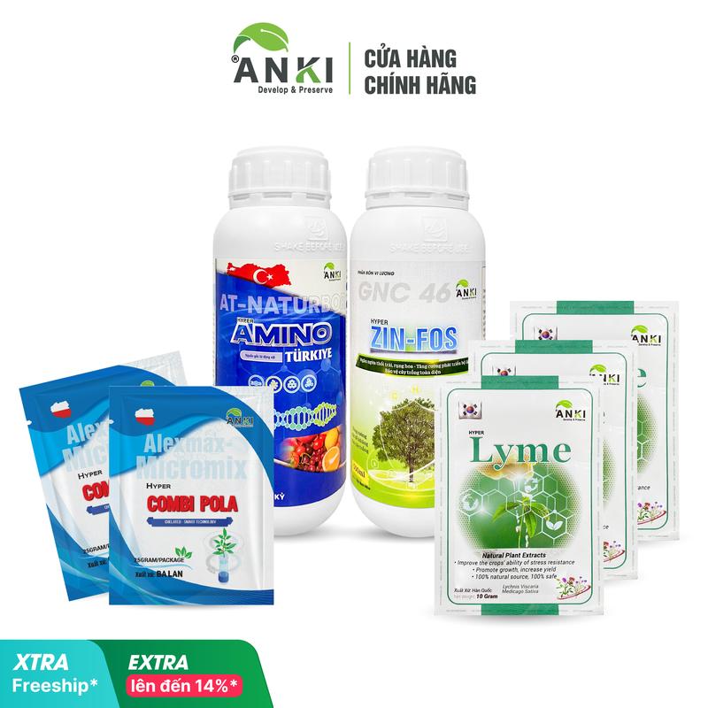  Bộ phân bón rước mắt cua và phòng bệnh cho mắt cua hoa “1 chai Amino + 1 chai Zin-fos + 3 Lyme + 2 Combi Pola” nhập khẩu Châu Âu - Pha 600 lít nước - Mắt cua sáng ra nhanh chống thối và chai đầu bông 