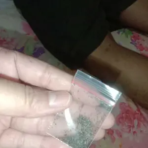 300 BUTIR BENIH BUNGA MOSSROSE PORTULACA DOUBLE MIX Biji