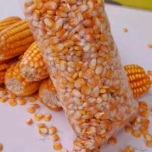 Jagung Pipil Pakan Ayam 1 kg